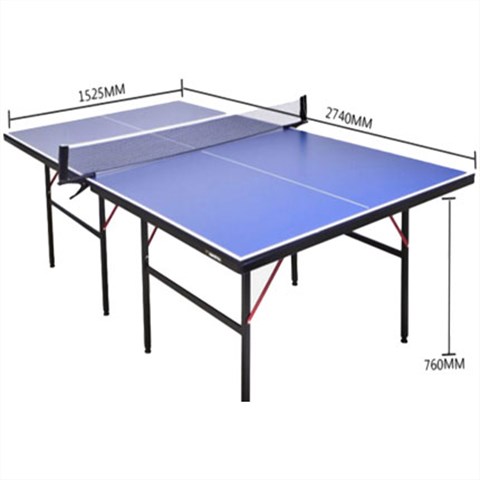 标准比赛室内乒乓球台