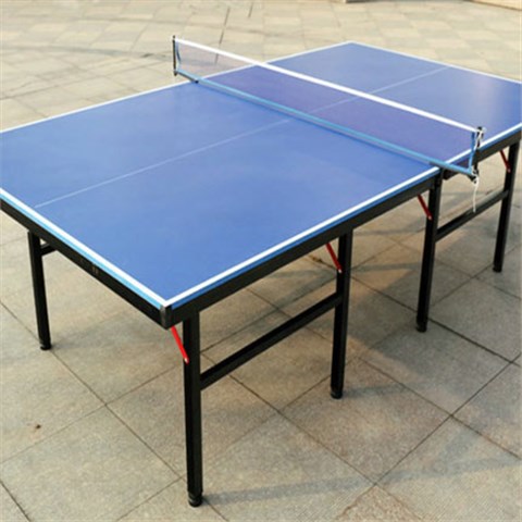 标准比赛室内乒乓球台