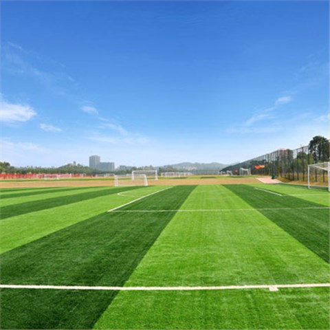 人造草坪足球场