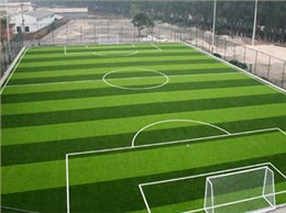 七人足球场人造草坪