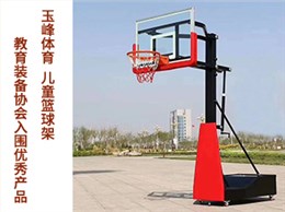 移动篮球架成人家用室内儿童篮球架户外青少年室外训练升降篮球架