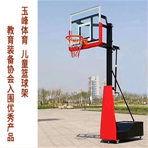 移动篮球架成人家用室内儿童篮球架户外青少年室外训练升降篮球架