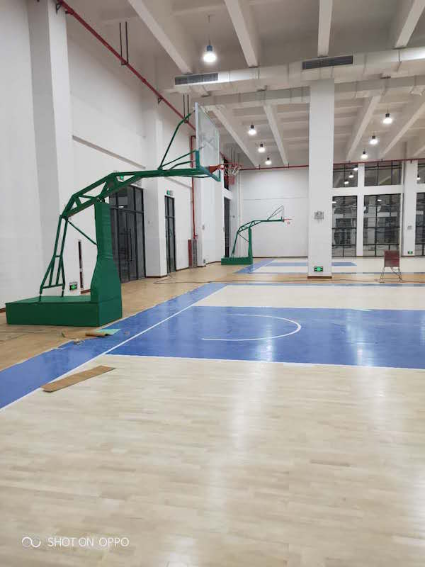 玉峰篮球架有多少款式类型？你一定想不到